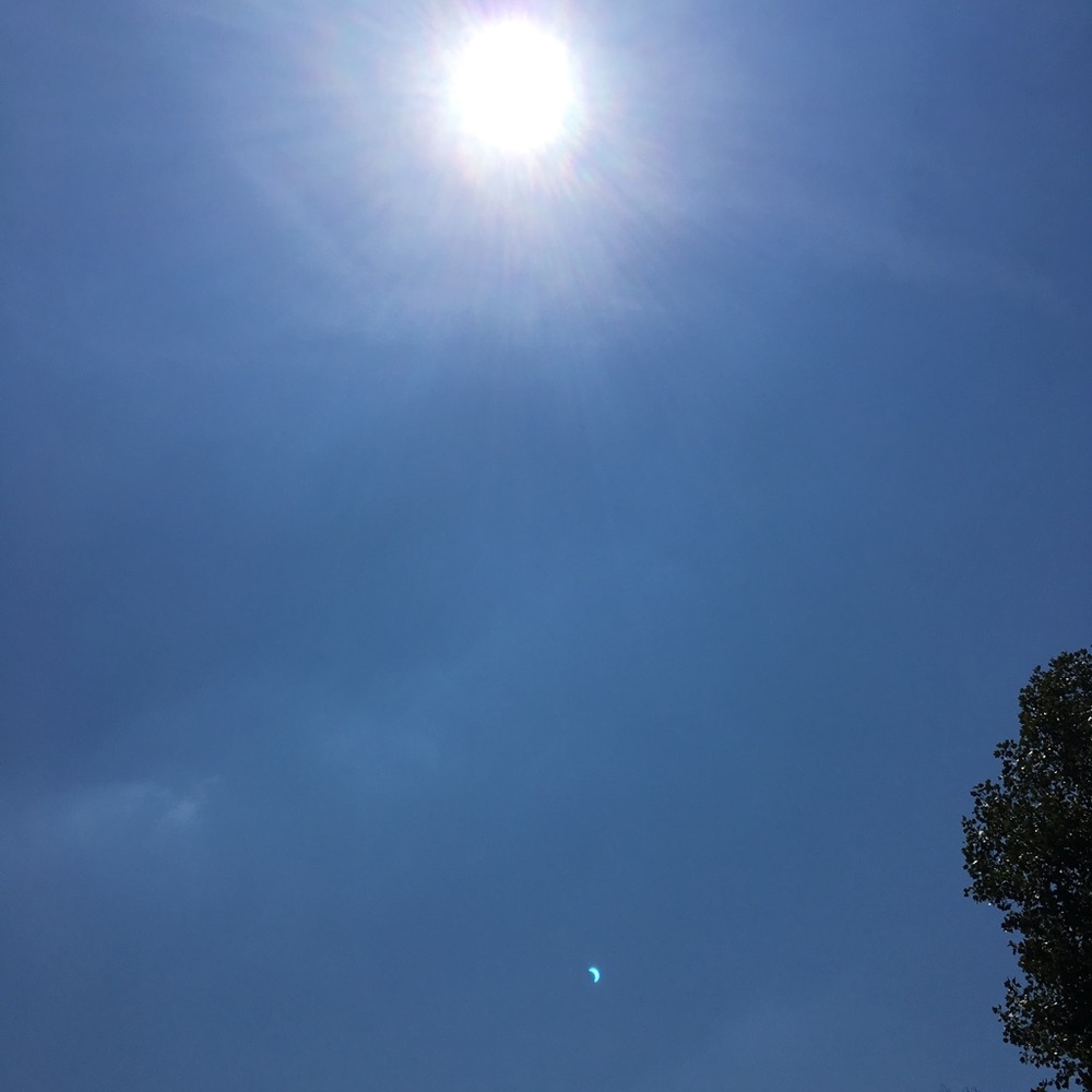 Meet your Posher, Cynthia